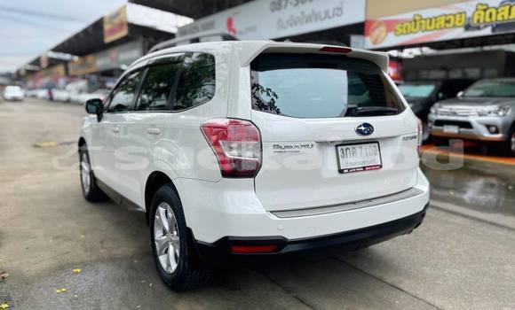 Buy Used Subaru Forester White Car in Bangkok in Bangkok Buy Used Subaru Forester White Car in Bangkok in Bangkok