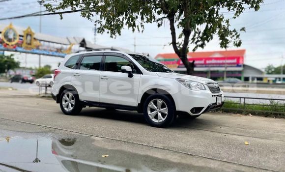 Buy Used Subaru Forester White Car in Bangkok in Bangkok Buy Used Subaru Forester White Car in Bangkok in Bangkok