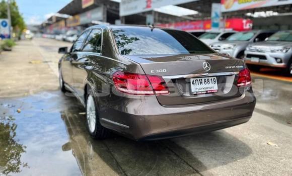 Buy Used Mercedes-Benz E-Classe Brown Car in Bangkok in Bangkok Buy Used Mercedes-Benz E-Classe Brown Car in Bangkok in Bangkok