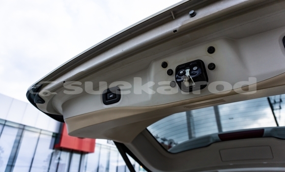 Buy Used Nissan X-Trail White Car in Chiang Mai in Chiang Mai Buy Used Nissan X-Trail White Car in Chiang Mai in Chiang Mai