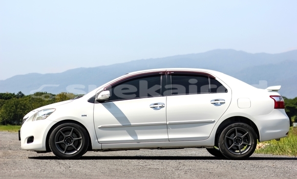 Buy Used Toyota Vios White Car in Chiang Mai in Chiang Mai Buy Used Toyota Vios White Car in Chiang Mai in Chiang Mai