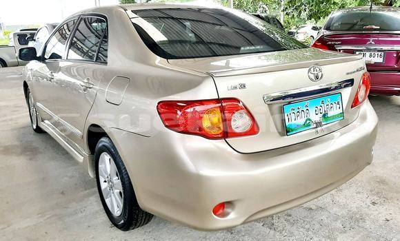 ซื้อ รถมือสอง Toyota Altis อื่น ๆ รถยนต์ ใน %{เมือง} ใน กรุงเทพมหานคร ซื้อ รถมือสอง Toyota Altis อื่น ๆ รถยนต์ ใน %{เมือง} ใน กรุงเทพมหานคร