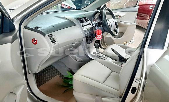 ซื้อ รถมือสอง Toyota Altis อื่น ๆ รถยนต์ ใน %{เมือง} ใน กรุงเทพมหานคร ซื้อ รถมือสอง Toyota Altis อื่น ๆ รถยนต์ ใน %{เมือง} ใน กรุงเทพมหานคร