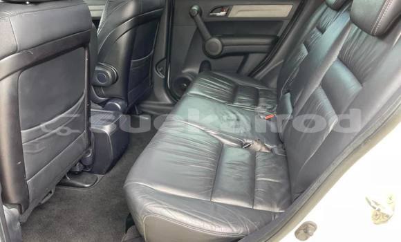 ซื้อ รถมือสอง Honda CR-V ขาว รถยนต์ ใน %{เมือง} ใน กรุงเทพมหานคร ซื้อ รถมือสอง Honda CR-V ขาว รถยนต์ ใน %{เมือง} ใน กรุงเทพมหานคร