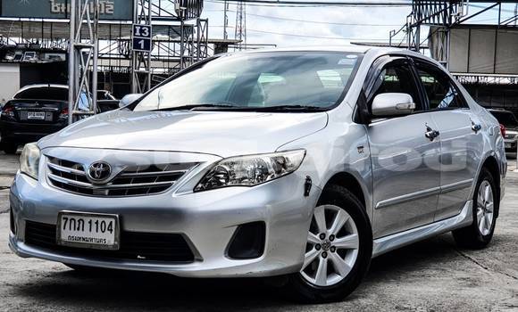 Buy Used Toyota Altis Other Car in Bangkok in Bangkok