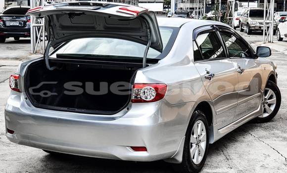 Buy Used Toyota Altis Other Car in Bangkok in Bangkok Buy Used Toyota Altis Other Car in Bangkok in Bangkok