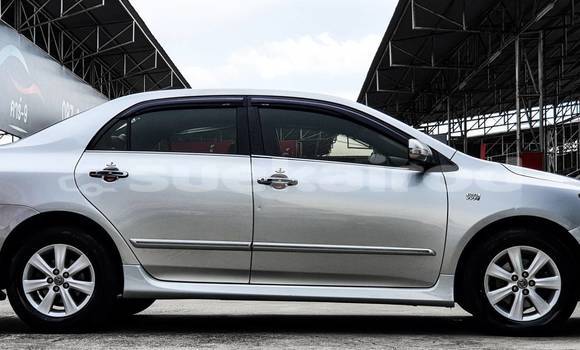 Buy Used Toyota Altis Other Car in Bangkok in Bangkok Buy Used Toyota Altis Other Car in Bangkok in Bangkok