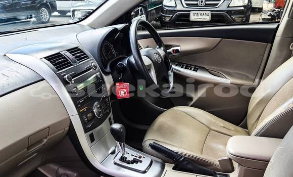 Buy Used Toyota Altis Other Car in Bangkok in Bangkok Buy Used Toyota Altis Other Car in Bangkok in Bangkok