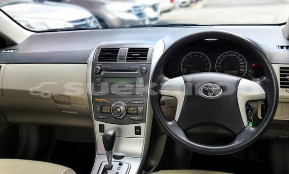 Buy Used Toyota Altis Other Car in Bangkok in Bangkok Buy Used Toyota Altis Other Car in Bangkok in Bangkok