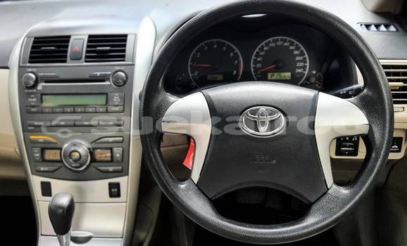Buy Used Toyota Altis Other Car in Bangkok in Bangkok Buy Used Toyota Altis Other Car in Bangkok in Bangkok