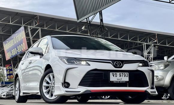 Buy Used Toyota Corolla Altis White Car in Bangkok in Bangkok