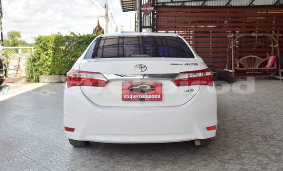 ซื้อ รถมือสอง Toyota Corolla Altis ขาว รถยนต์ ใน %{เมือง} ใน ยโสธร ซื้อ รถมือสอง Toyota Corolla Altis ขาว รถยนต์ ใน %{เมือง} ใน ยโสธร