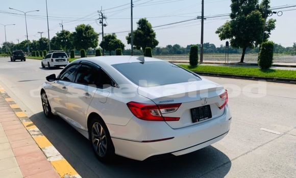 ซื้อ รถมือสอง Honda Accord ขาว รถยนต์ ใน %{เมือง} ใน กรุงเทพมหานคร ซื้อ รถมือสอง Honda Accord ขาว รถยนต์ ใน %{เมือง} ใน กรุงเทพมหานคร