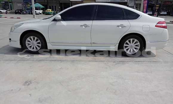 ซื้อ รถมือสอง Nissan Teana ขาว รถยนต์ ใน %{เมือง} ใน กรุงเทพมหานคร ซื้อ รถมือสอง Nissan Teana ขาว รถยนต์ ใน %{เมือง} ใน กรุงเทพมหานคร