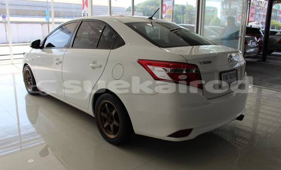 ซื้อ รถมือสอง Toyota Vios ขาว รถยนต์ ใน %{เมือง} ใน กรุงเทพมหานคร ซื้อ รถมือสอง Toyota Vios ขาว รถยนต์ ใน %{เมือง} ใน กรุงเทพมหานคร