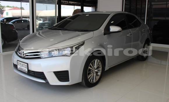 Buy Used Toyota Altis Other Car in Bangkok in Bangkok Buy Used Toyota Altis Other Car in Bangkok in Bangkok