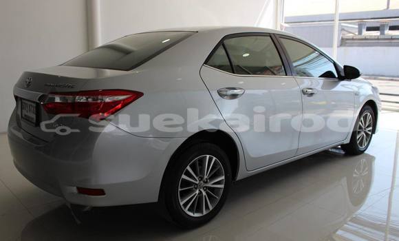 ซื้อ รถมือสอง Toyota Altis อื่น ๆ รถยนต์ ใน %{เมือง} ใน กรุงเทพมหานคร ซื้อ รถมือสอง Toyota Altis อื่น ๆ รถยนต์ ใน %{เมือง} ใน กรุงเทพมหานคร