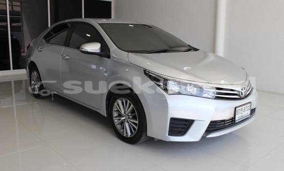 ซื้อ รถมือสอง Toyota Altis อื่น ๆ รถยนต์ ใน %{เมือง} ใน กรุงเทพมหานคร ซื้อ รถมือสอง Toyota Altis อื่น ๆ รถยนต์ ใน %{เมือง} ใน กรุงเทพมหานคร