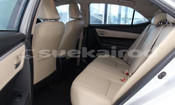 ซื้อ รถมือสอง Toyota Altis อื่น ๆ รถยนต์ ใน %{เมือง} ใน กรุงเทพมหานคร ซื้อ รถมือสอง Toyota Altis อื่น ๆ รถยนต์ ใน %{เมือง} ใน กรุงเทพมหานคร