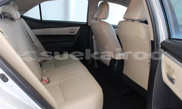 ซื้อ รถมือสอง Toyota Altis อื่น ๆ รถยนต์ ใน %{เมือง} ใน กรุงเทพมหานคร ซื้อ รถมือสอง Toyota Altis อื่น ๆ รถยนต์ ใน %{เมือง} ใน กรุงเทพมหานคร