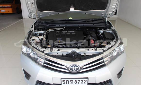 ซื้อ รถมือสอง Toyota Altis อื่น ๆ รถยนต์ ใน %{เมือง} ใน กรุงเทพมหานคร ซื้อ รถมือสอง Toyota Altis อื่น ๆ รถยนต์ ใน %{เมือง} ใน กรุงเทพมหานคร