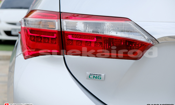 ซื้อ รถมือสอง Toyota Yaris เงิน รถยนต์ ใน %{เมือง} ใน กรุงเทพมหานคร ซื้อ รถมือสอง Toyota Yaris เงิน รถยนต์ ใน %{เมือง} ใน กรุงเทพมหานคร