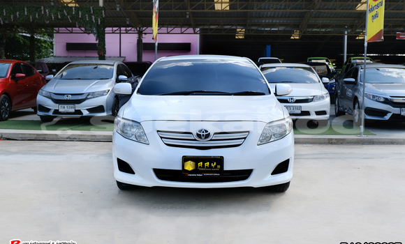 Buy Used Toyota Altis White Car in Bangkok in Bangkok Buy Used Toyota Altis White Car in Bangkok in Bangkok