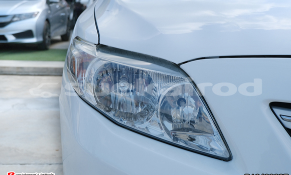 Buy Used Toyota Altis White Car in Bangkok in Bangkok Buy Used Toyota Altis White Car in Bangkok in Bangkok