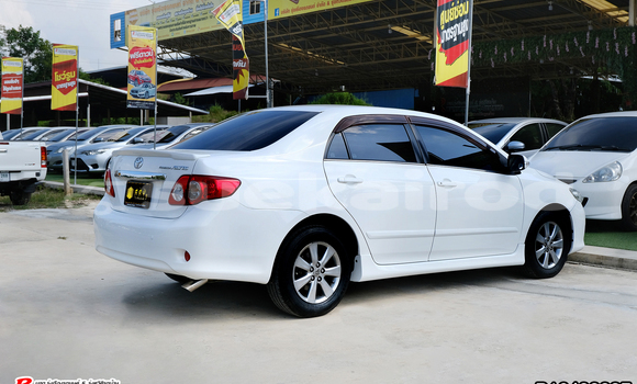 Buy Used Toyota Altis White Car in Bangkok in Bangkok Buy Used Toyota Altis White Car in Bangkok in Bangkok