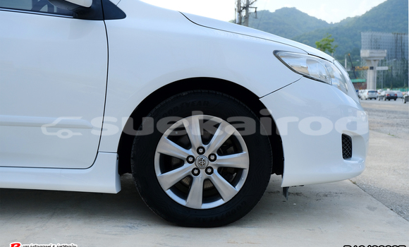 Buy Used Toyota Altis White Car in Bangkok in Bangkok Buy Used Toyota Altis White Car in Bangkok in Bangkok