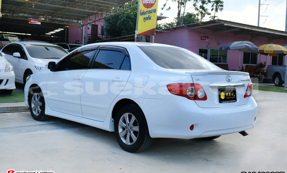 Buy Used Toyota Altis White Car in Bangkok in Bangkok Buy Used Toyota Altis White Car in Bangkok in Bangkok