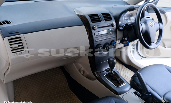 Buy Used Toyota Altis White Car in Bangkok in Bangkok Buy Used Toyota Altis White Car in Bangkok in Bangkok