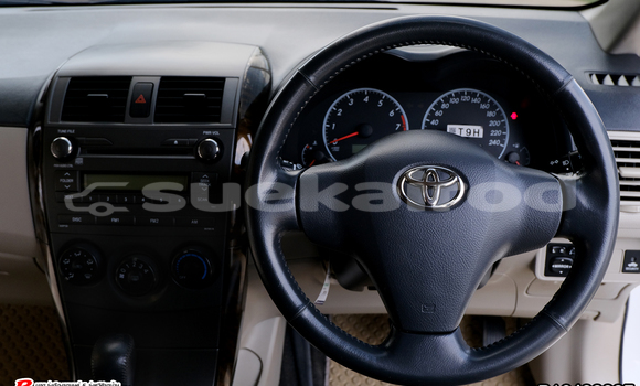 Buy Used Toyota Altis White Car in Bangkok in Bangkok Buy Used Toyota Altis White Car in Bangkok in Bangkok