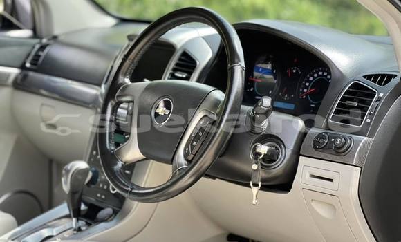 ซื้อ รถมือสอง Chevrolet Captiva สีดำ รถยนต์ ใน %{เมือง} ใน กรุงเทพมหานคร ซื้อ รถมือสอง Chevrolet Captiva สีดำ รถยนต์ ใน %{เมือง} ใน กรุงเทพมหานคร