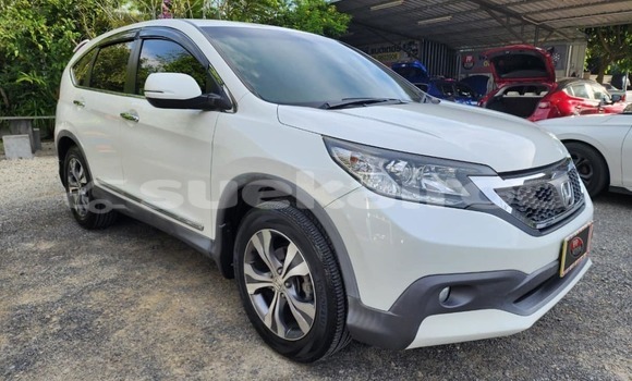 Buy Used Honda CR-V White Car in Songkhla in Songkhla