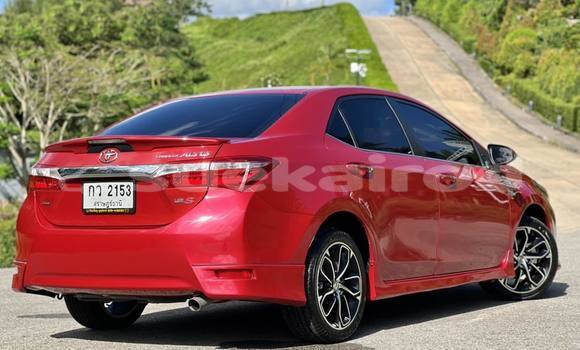 ซื้อ รถมือสอง Toyota Corolla Altis สีแดง รถยนต์ ใน %{เมือง} ใน กรุงเทพมหานคร ซื้อ รถมือสอง Toyota Corolla Altis สีแดง รถยนต์ ใน %{เมือง} ใน กรุงเทพมหานคร