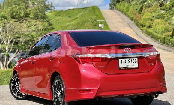 ซื้อ รถมือสอง Toyota Corolla Altis สีแดง รถยนต์ ใน %{เมือง} ใน กรุงเทพมหานคร ซื้อ รถมือสอง Toyota Corolla Altis สีแดง รถยนต์ ใน %{เมือง} ใน กรุงเทพมหานคร