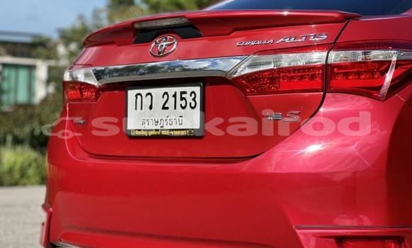 ซื้อ รถมือสอง Toyota Corolla Altis สีแดง รถยนต์ ใน %{เมือง} ใน กรุงเทพมหานคร ซื้อ รถมือสอง Toyota Corolla Altis สีแดง รถยนต์ ใน %{เมือง} ใน กรุงเทพมหานคร