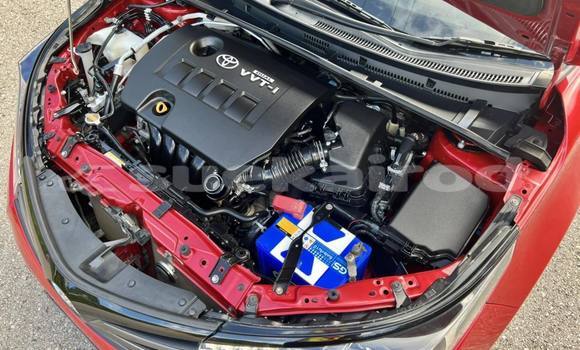 ซื้อ รถมือสอง Toyota Corolla Altis สีแดง รถยนต์ ใน %{เมือง} ใน กรุงเทพมหานคร ซื้อ รถมือสอง Toyota Corolla Altis สีแดง รถยนต์ ใน %{เมือง} ใน กรุงเทพมหานคร