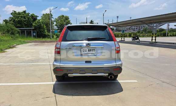 Buy Used Honda CR-V Silver Car in Bangkok in Bangkok Buy Used Honda CR-V Silver Car in Bangkok in Bangkok