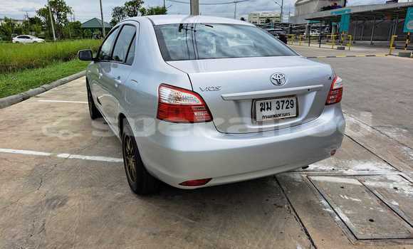 Buy Used Toyota Vios Other Car in Bangkok in Bangkok Buy Used Toyota Vios Other Car in Bangkok in Bangkok