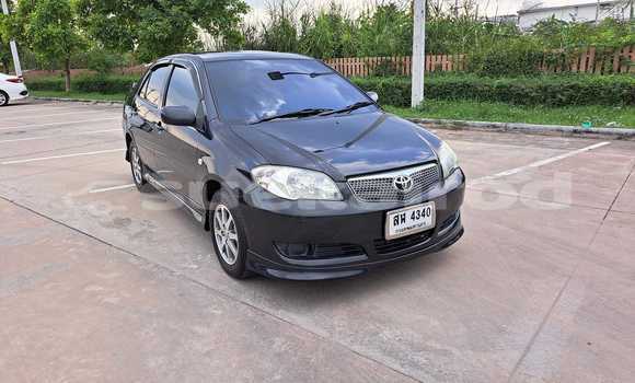 Buy Used Toyota Vios Black Car in Bangkok in Bangkok