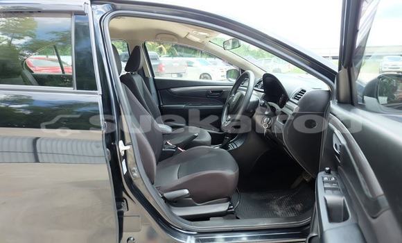 Buy Used Suzuki Ciaz Black Car in Udon Thani in Udon Thani Buy Used Suzuki Ciaz Black Car in Udon Thani in Udon Thani