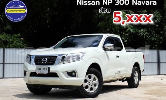 Buy Used Nissan NP 300 White Car in Udon Thani in Udon Thani