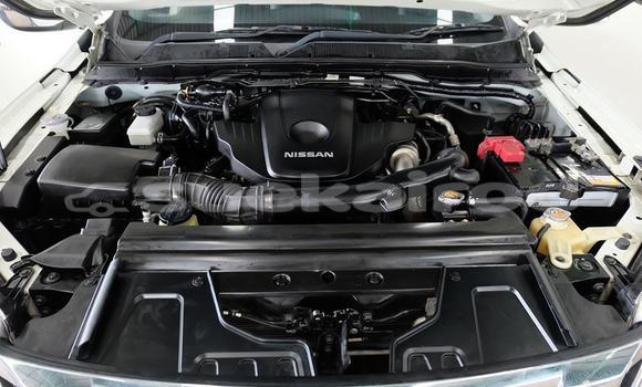 ซื้อ รถมือสอง Nissan NP 300 ขาว รถยนต์ ใน %{เมือง} ใน อุดรธานี ซื้อ รถมือสอง Nissan NP 300 ขาว รถยนต์ ใน %{เมือง} ใน อุดรธานี
