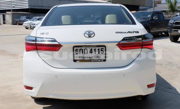 ซื้อ รถมือสอง Toyota Corolla Altis ขาว รถยนต์ ใน %{เมือง} ใน อุดรธานี ซื้อ รถมือสอง Toyota Corolla Altis ขาว รถยนต์ ใน %{เมือง} ใน อุดรธานี
