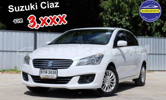 Buy Used Suzuki Ciaz White Car in Udon Thani in Udon Thani
