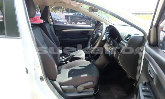 Buy Used Suzuki Ciaz White Car in Udon Thani in Udon Thani Buy Used Suzuki Ciaz White Car in Udon Thani in Udon Thani