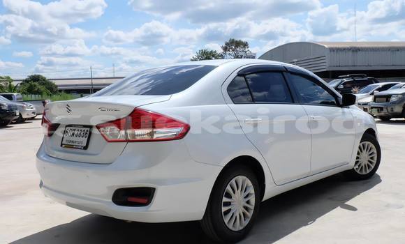 Buy Used Suzuki Ciaz White Car in Udon Thani in Udon Thani Buy Used Suzuki Ciaz White Car in Udon Thani in Udon Thani