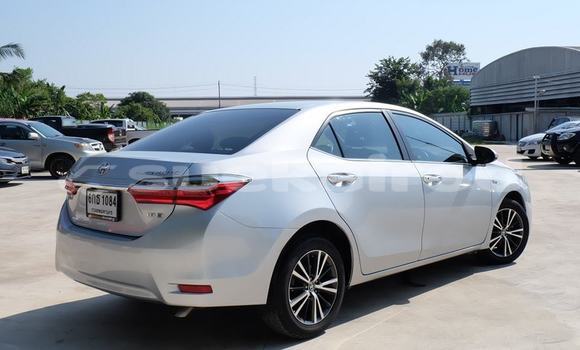 Buy Used Toyota Altis Silver Car in Udon Thani in Udon Thani Buy Used Toyota Altis Silver Car in Udon Thani in Udon Thani